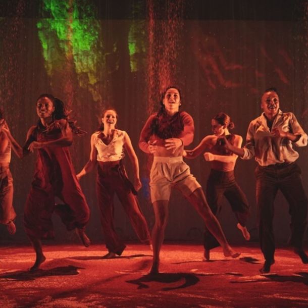 SPECTACLE DE DANSE